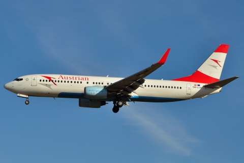 OE-LNP - 737-8Z9(WL) - Austrian Airlines - LPA - 19-02-2011