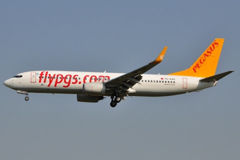 TC-AAS - 737-82R(WL) - Pegasus - BRU - 24-04-2011