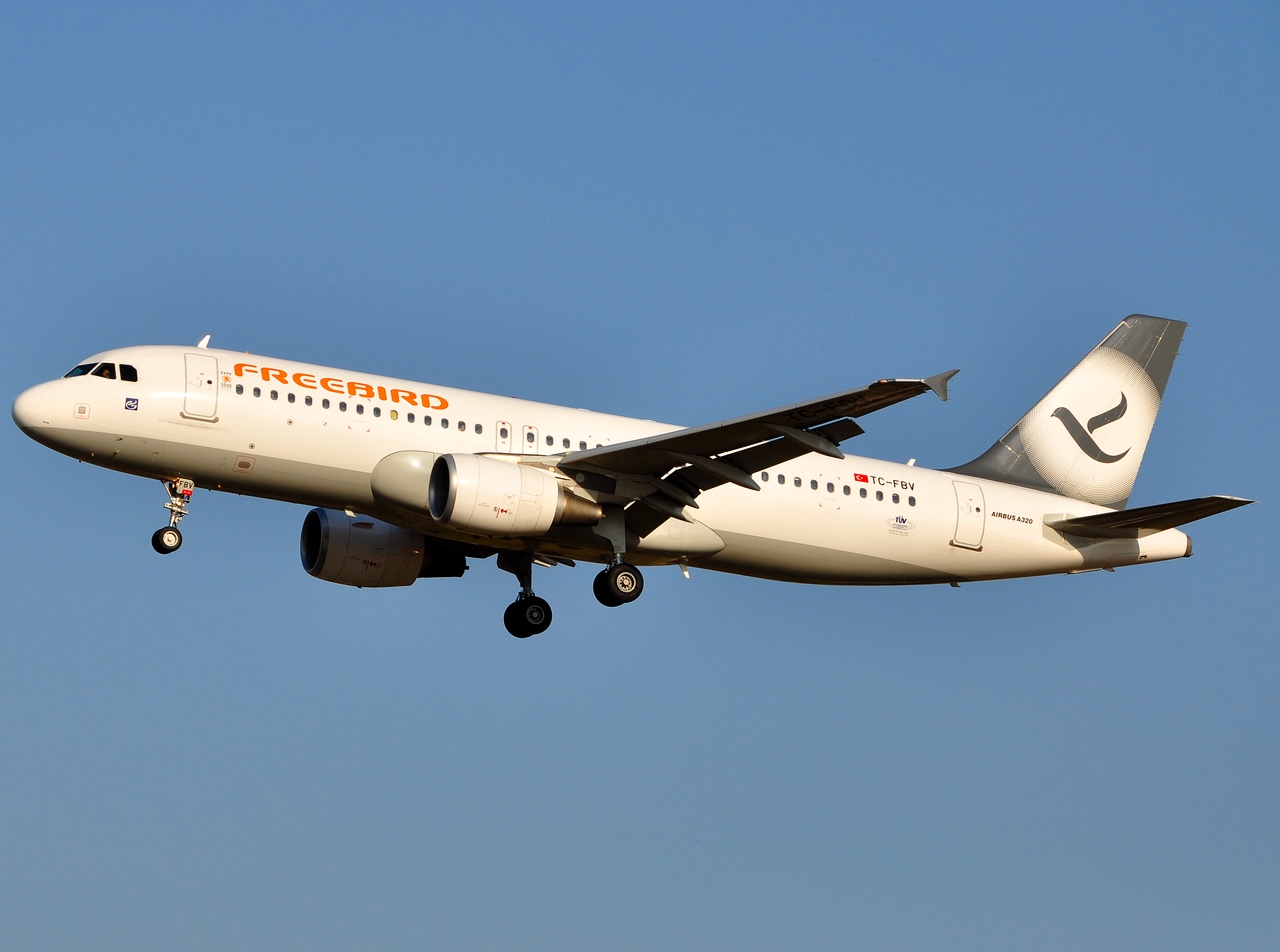 TC-FBV - A320-214 - Freebird Airlines - BRU - 21-07-2013