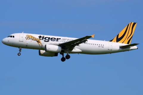 9V-TAE - A320-232 - Tiger Airways - SIN - 27-01-2013
