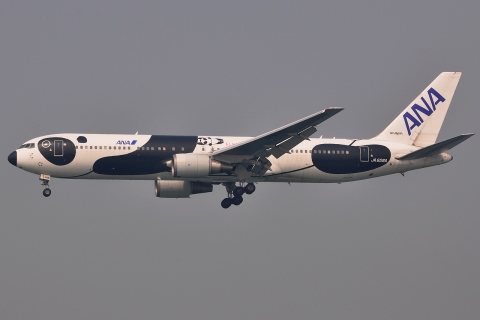 JA606A - 767-381(ER) - ANA All Nippon Airways - HKG - 22-01-2013