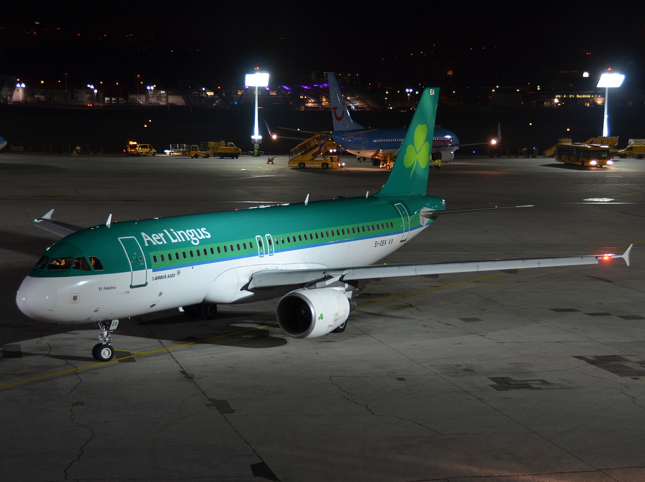 EI-DEA - A320-214 - Aer Lingus - SZG - 11-01-2014