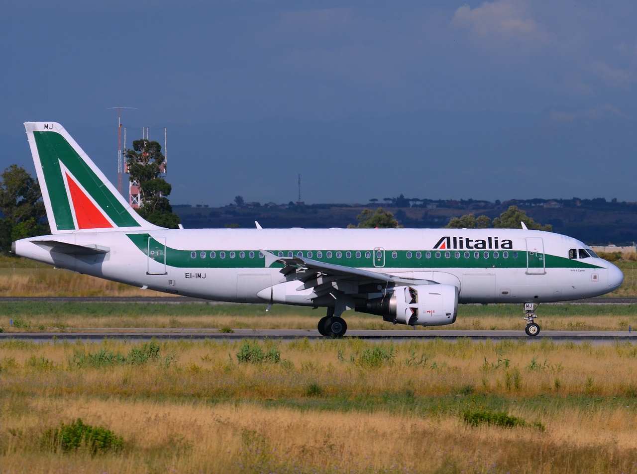 EI-IMJ - A319-112 - Alitalia - FCO - 17-06-2014