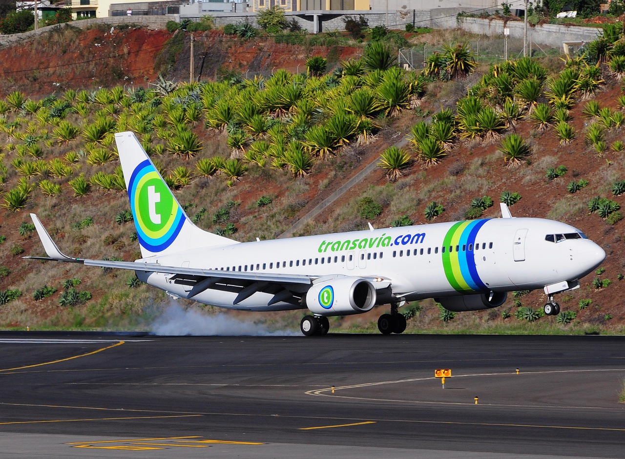 F-GZHB - 737-8GJ(WL) - Transavia France - FNC - 28-09-2014
