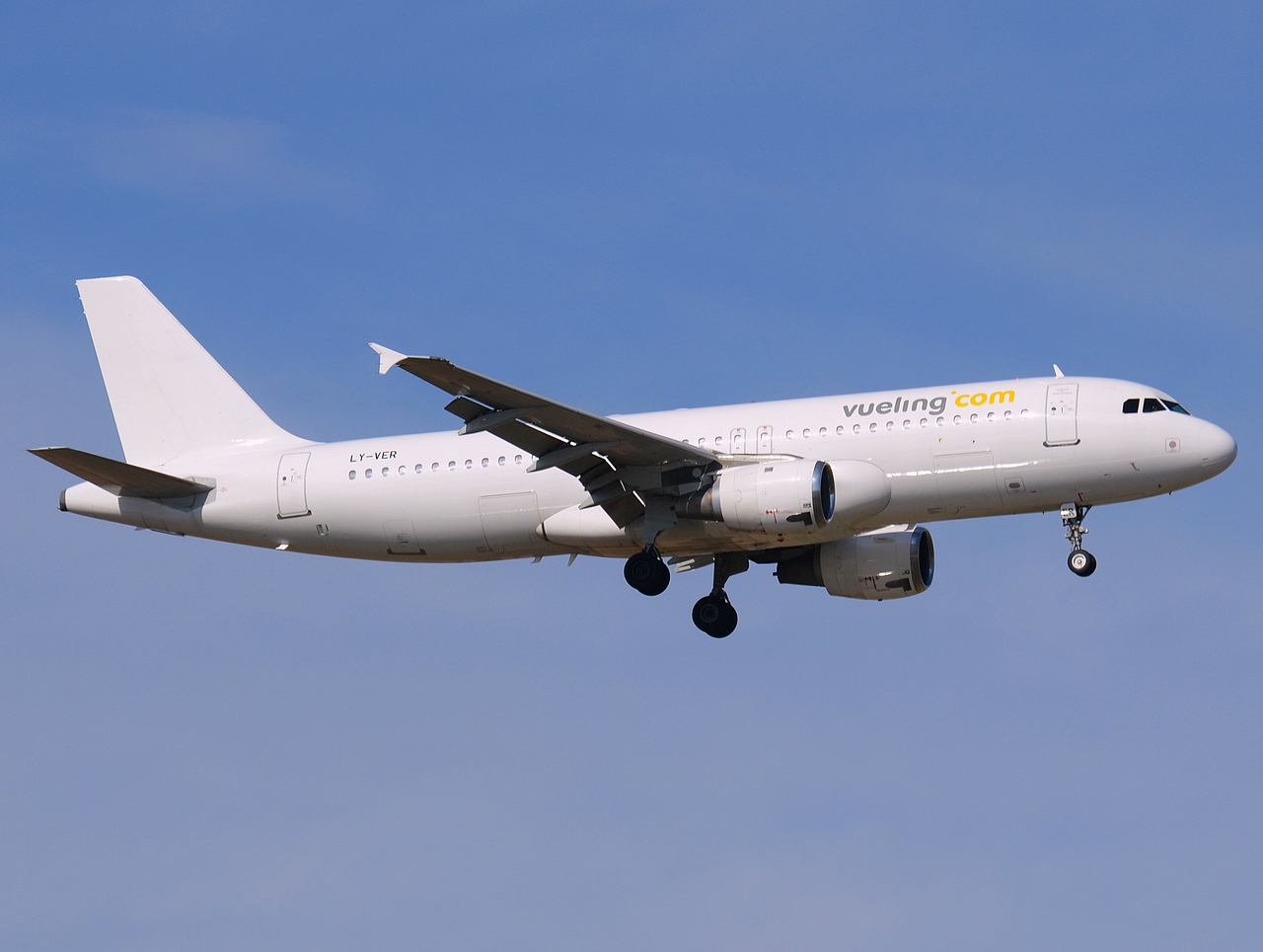 LY-VER - A320-212 - Vueling - FCO - 19-06-2014