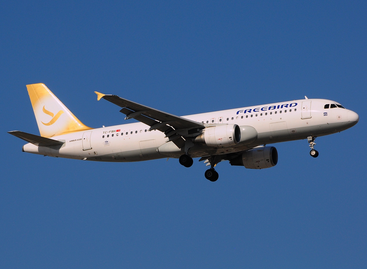 TC-FBH - A320-214 - Freebird Airlines - AYT - 23-08-2014