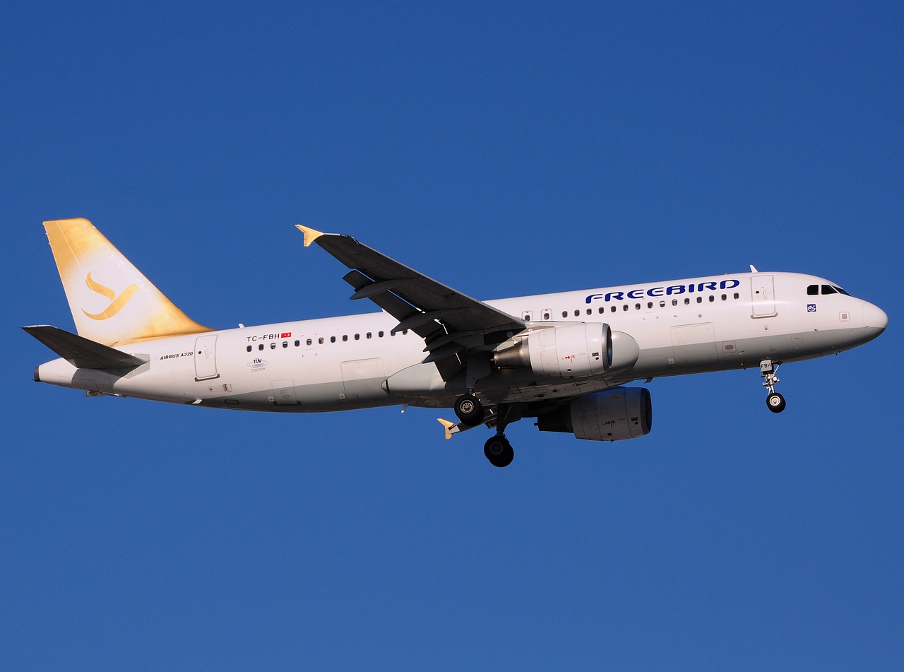 TC-FBH - A320-214 - Freebird Airlines - AYT - 25-08-2014