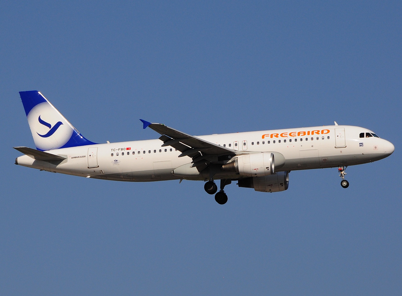 TC-FBO - A320-214 - Freebird Airlines - AYT - 22-08-2014