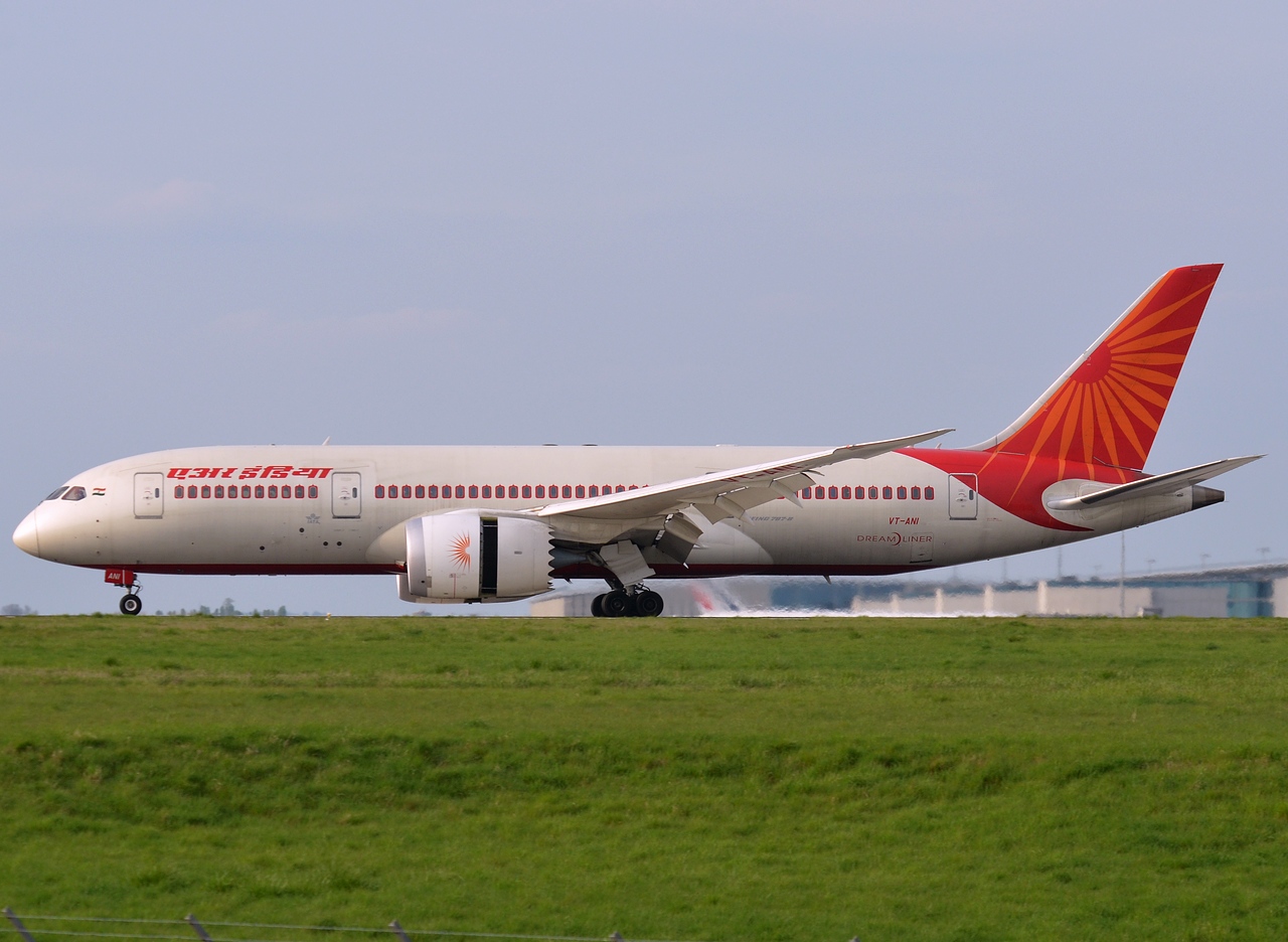 VT-ANI - 787-8 Dreamliner - Air India - CDG - 12-04-2014