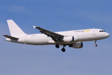 LY-VER - A320-212 - Vueling - FCO - 19-06-2014