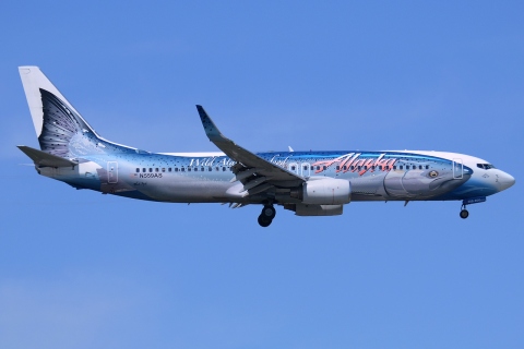 N559AS - 737-890(WL) - Alaska Airlines - SEA - 25-06-2014