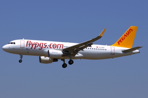 TC-DCH - A320-216(WL) - Pegasus - BCN - 29-06-2015
