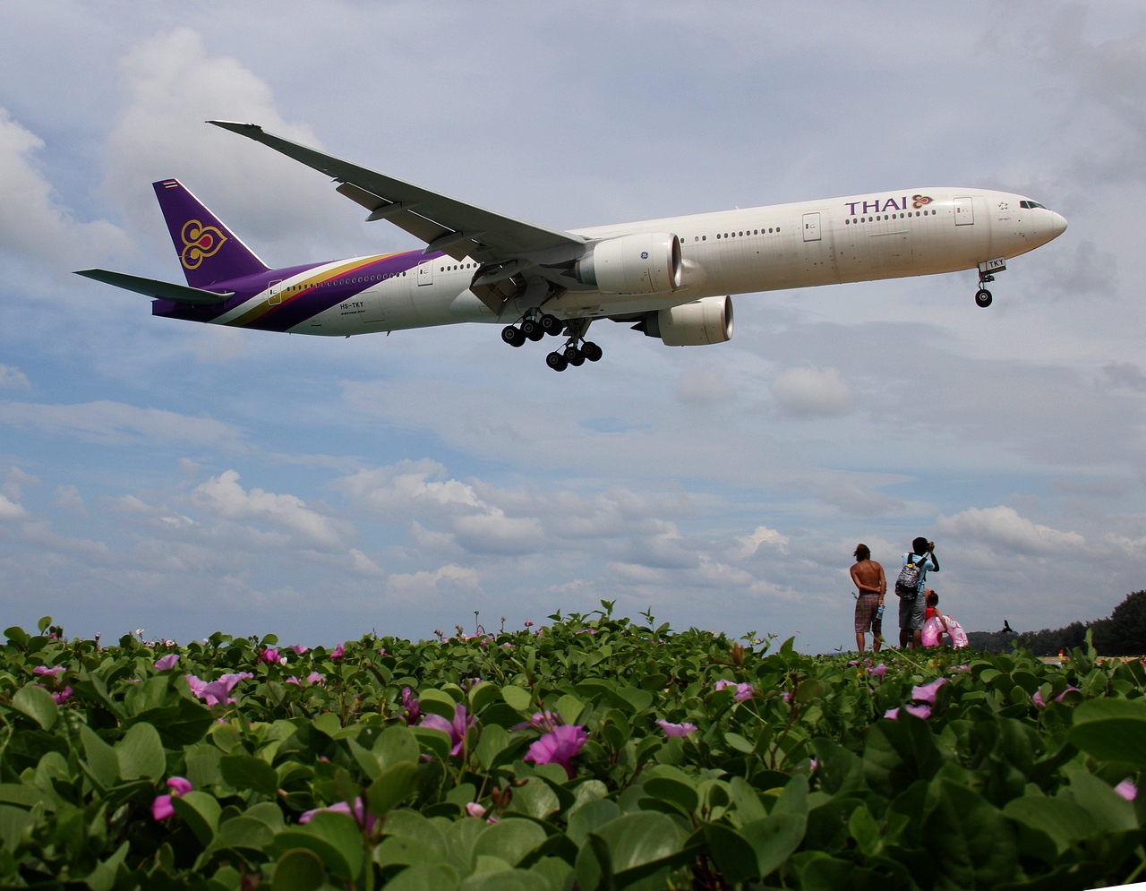 HS-TKY - 777-3D7(ER) - Thai Airways International - HKT - 16-11-2016