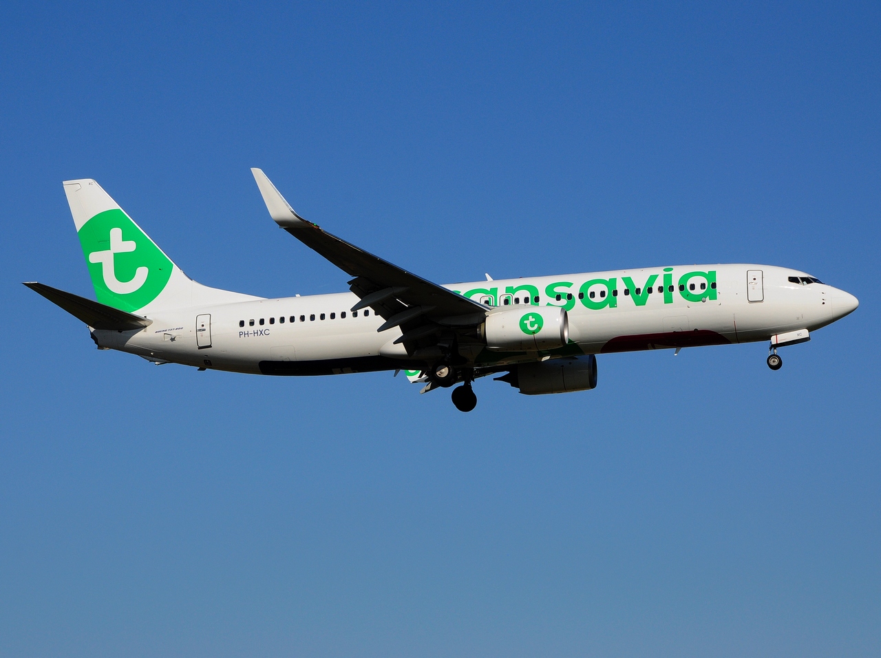 PH-HXC - 737-8K2(WL) - Transavia - LIS - 22-06-2016