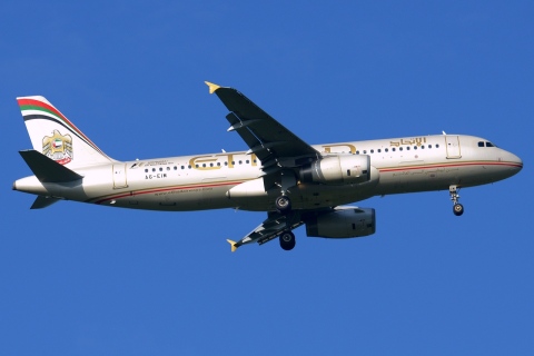 A6-EIM - A320-232 - Etihad Airways - DME - 03-06-2016