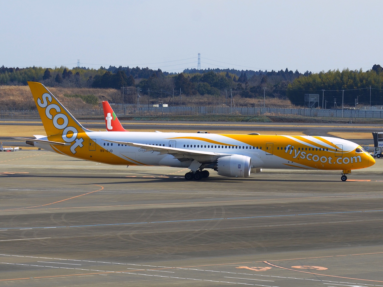 9V-OJD - 787-9 Dreamliner - Scoot - NRT - 26-02-2017