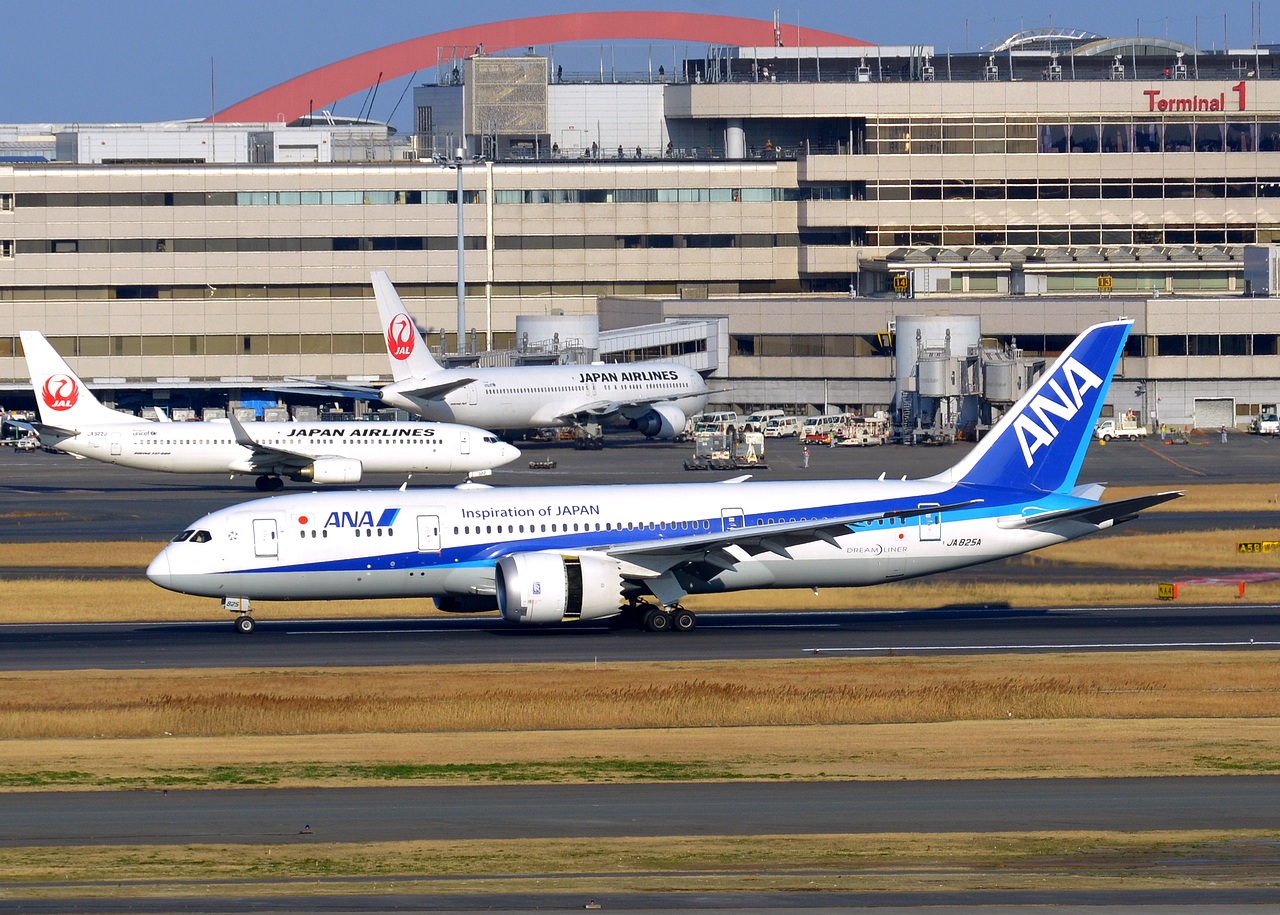 JA825A - 787-8 Dreamliner - ANA All Nippon Airways - HND - 28-02-2017