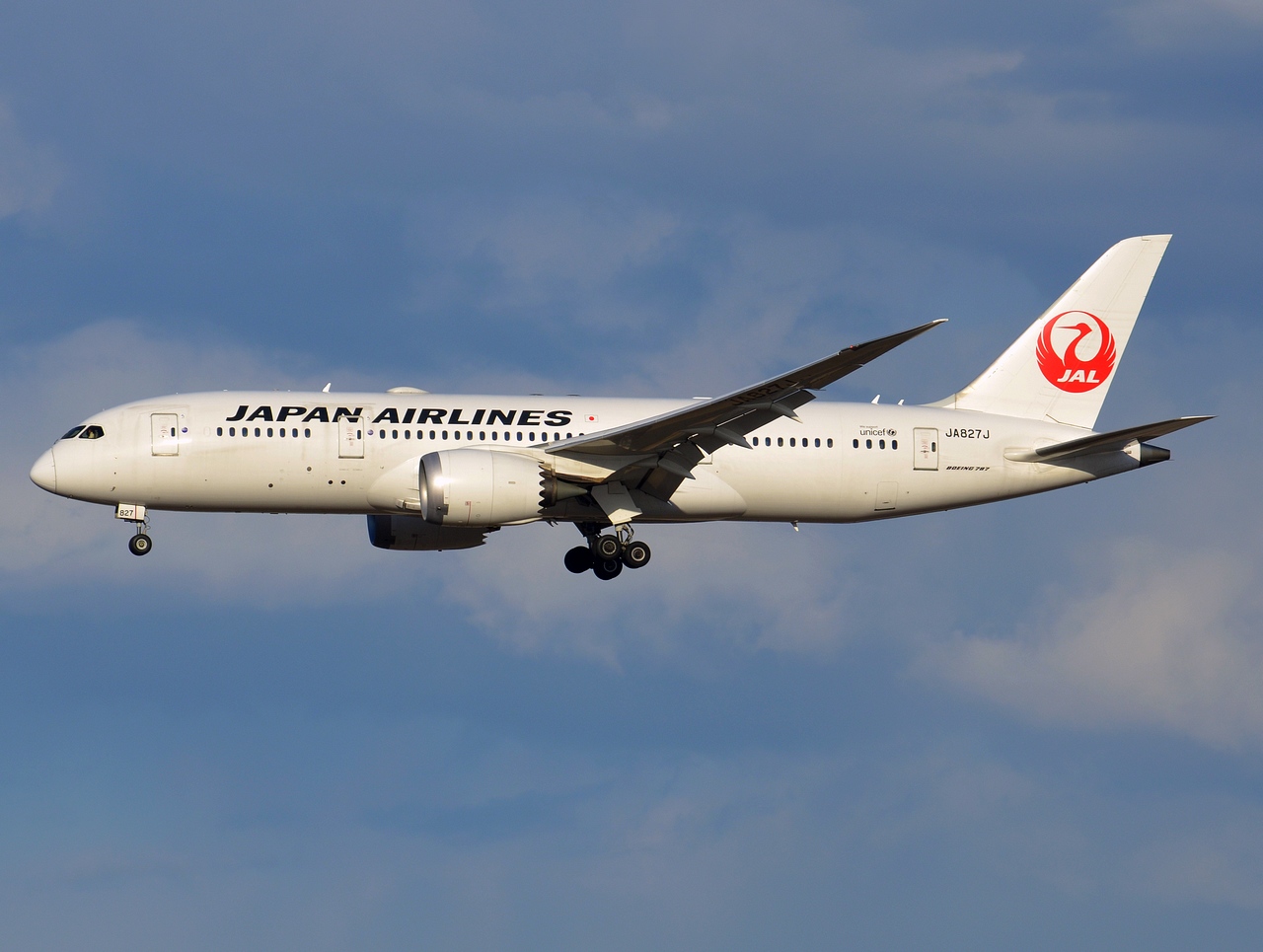 JA827J - 787-8 Dreamliner - Japan Airlines - NRT - 03-03-2017
