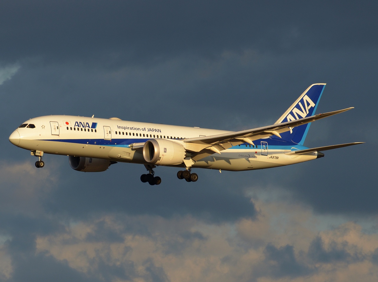 JA878A - 787-8 Dreamliner - ANA All Nippon Airways - NRT - 03-03-2017