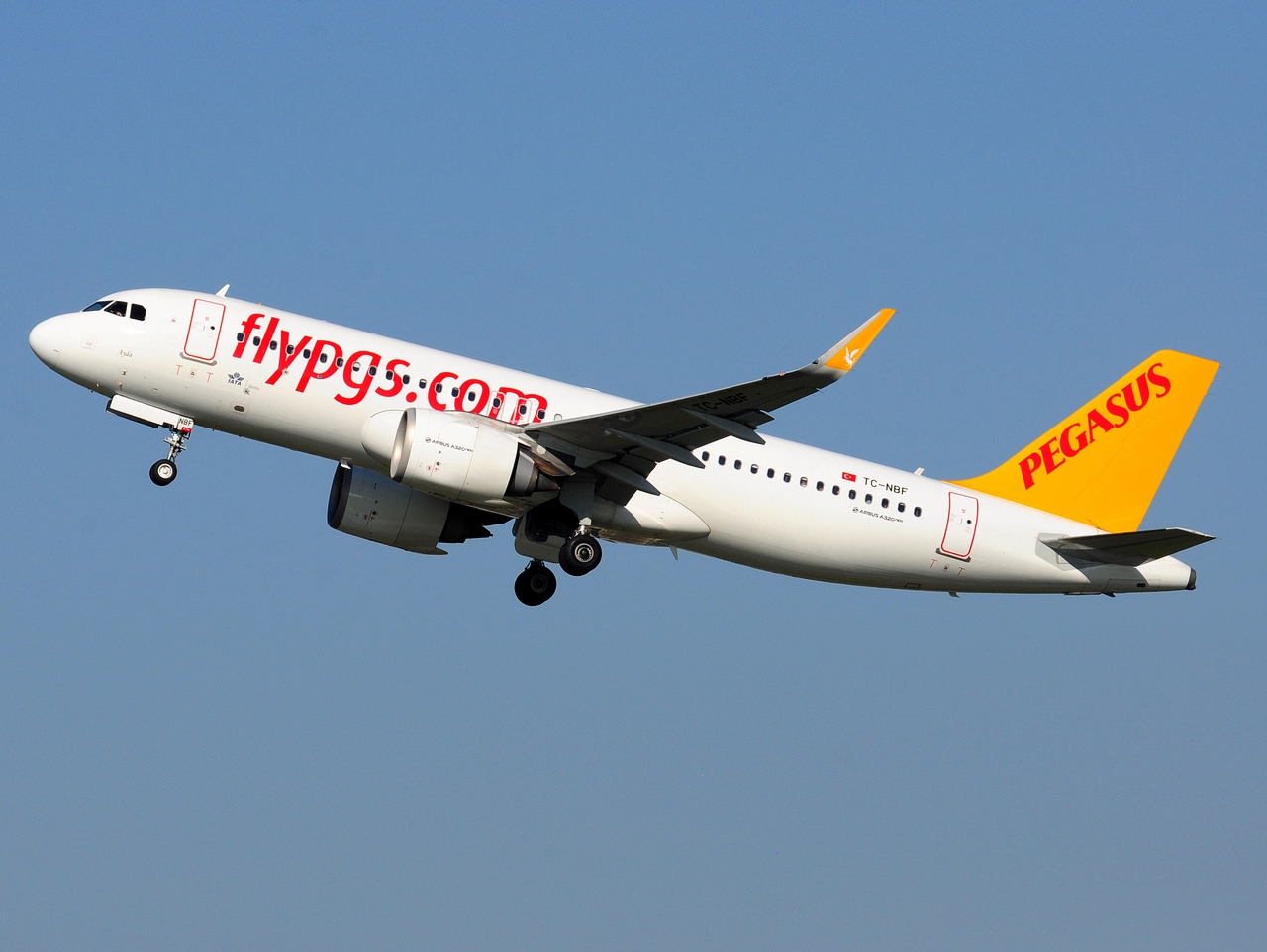TC-NBF - A320-251N(WL) - Pegasus - ORY - 15-10-2017