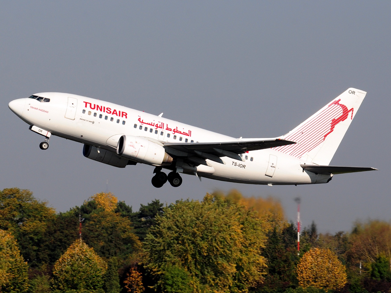 TS-IOR - 737-6H3 - Tunisair - ORY - 15-10-2017