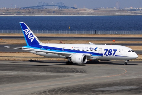 JA821A - 787-8 Dreamliner - ANA All Nippon Airways - HND - 28-02-2017