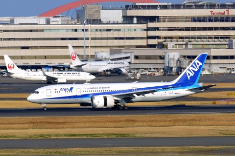 JA825A - 787-8 Dreamliner - ANA All Nippon Airways - HND - 28-02-2017
