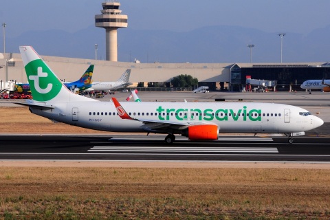 PH-GGY - 737-8EH(WL) - Transavia - PMI - 24-07-2017