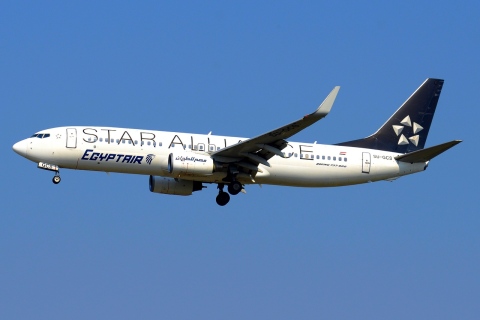 SU-GCS - 737-866(WL) - EgyptAir - MXP - 12-06-2017