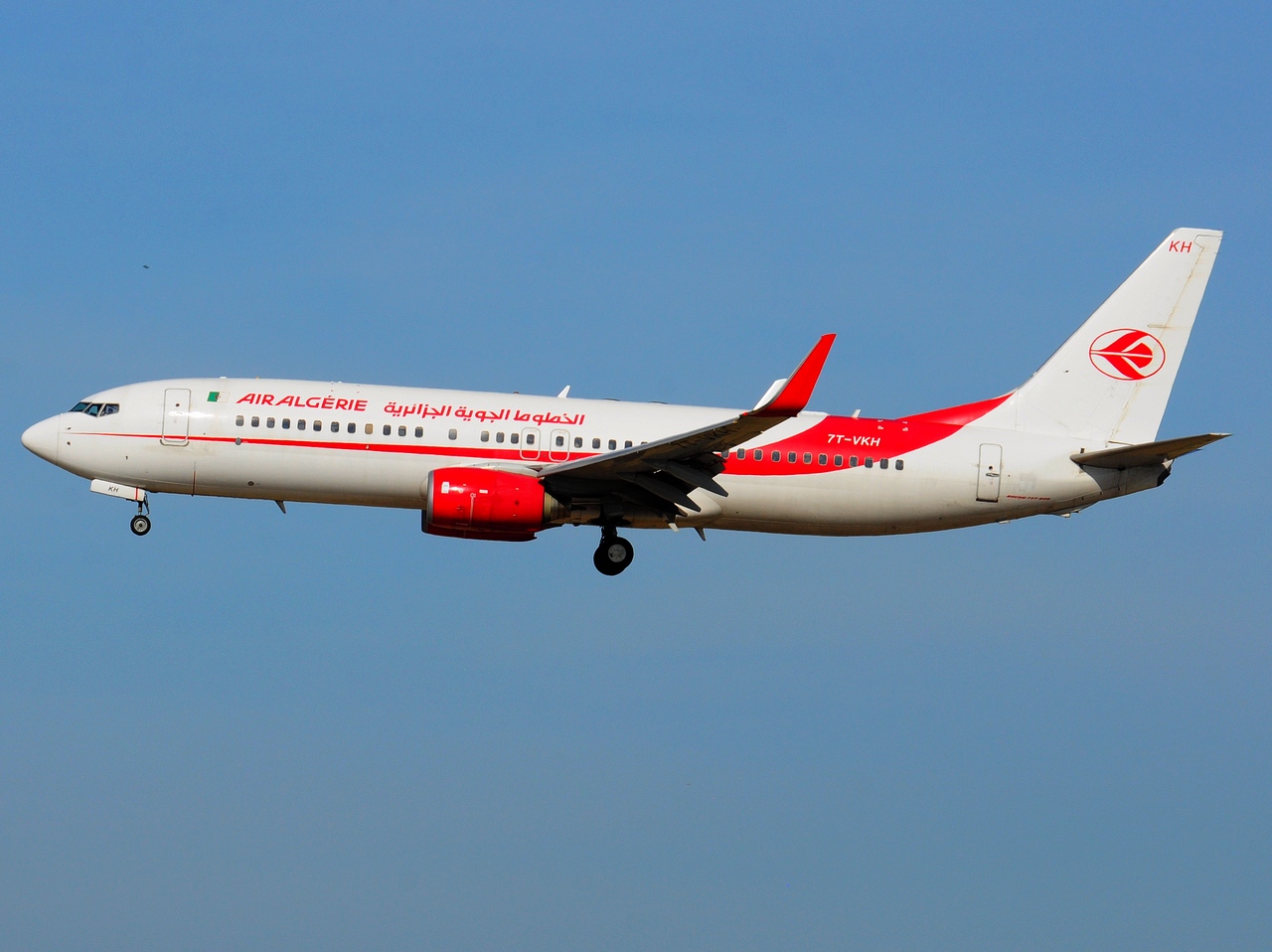 7T-VKH - 737-8D6(WL) - Air Algerie - ORY - 13-10-2018