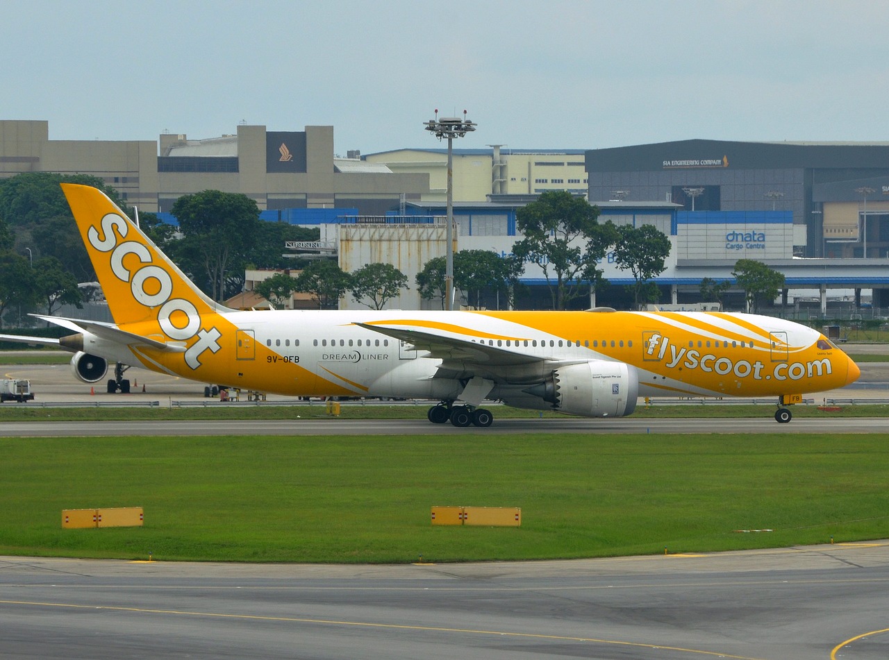 9V-OFB - 787-8 Dreamliner - Scoot - SIN - 06-01-2018