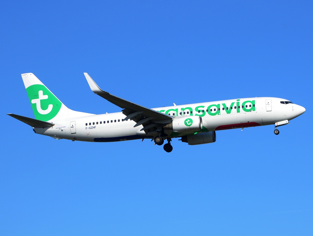F-GZHF - 737-8HX(WL) - Transavia France - LIS - 14-06-2018