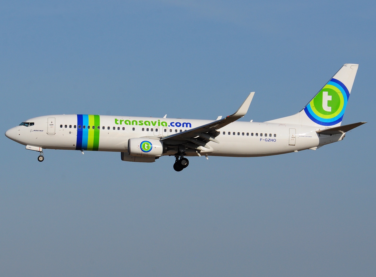 F-GZHO - 737-8K2(WL) - Transavia France - ORY - 13-10-2018