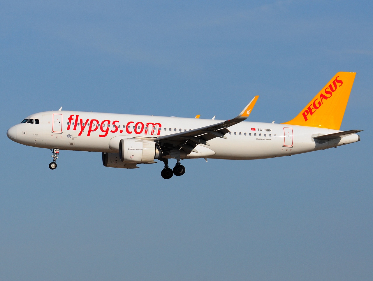 TC-NBH - A320-251N(WL) - Pegasus - ORY - 13-10-2018