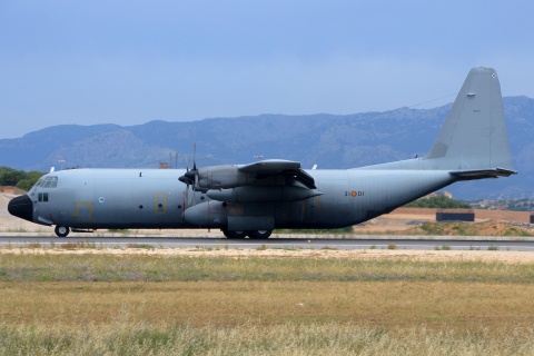 3101 - C-130 - Spain Air Force - PMI - 10-06-2018