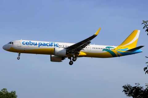 RP-C4120 - A321-271NX(WL) - CEBU Pacific Air - DPS - 03-12-2019