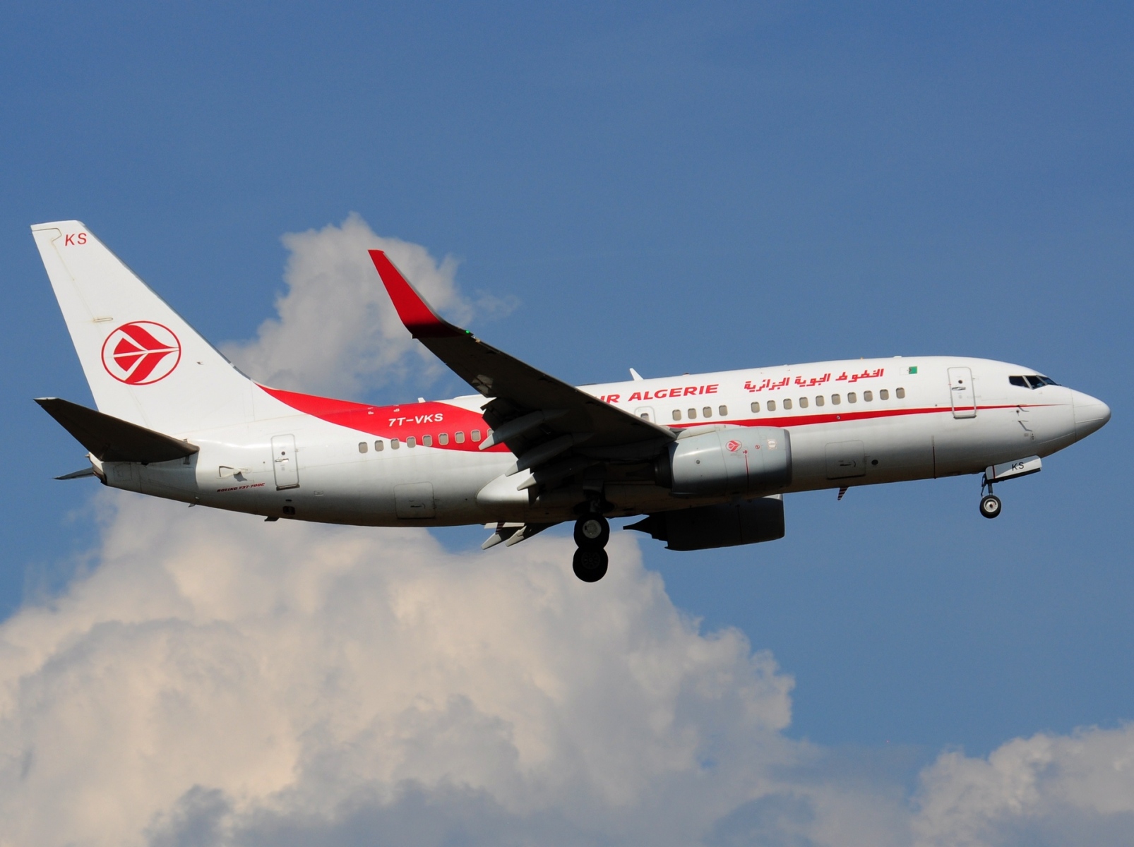 7T-VKS - 737-7D6C(WL) - Air Algerie - FRA - 06-09-2021