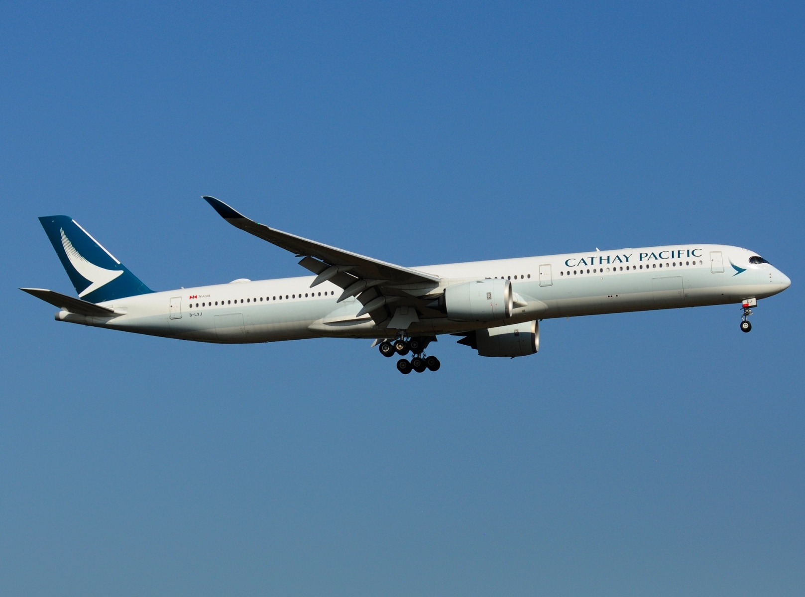 B-LXJ - A350-1041 - Cathay Pacific Airways - FRA - 06-09-2021