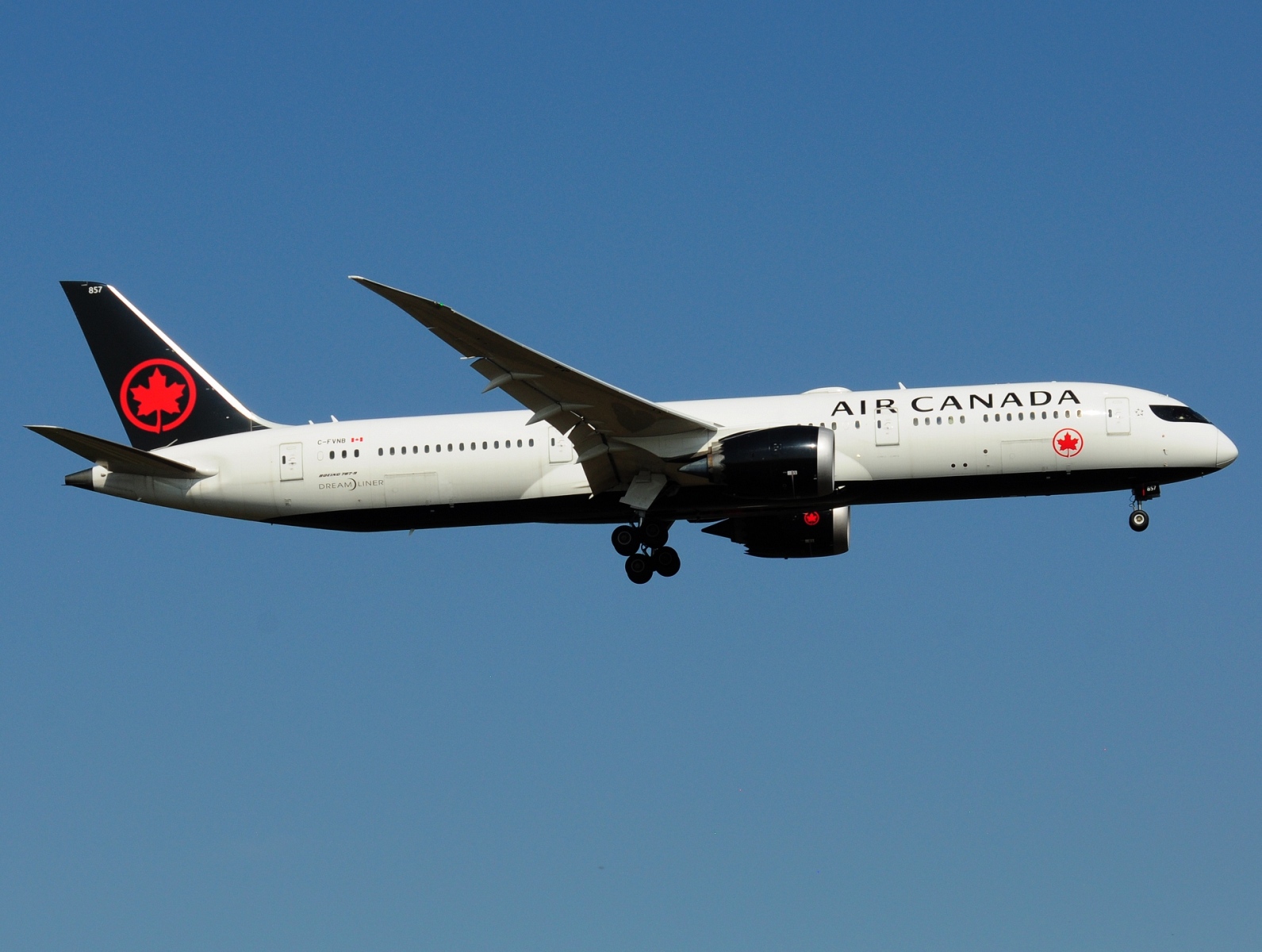 C-FVNB - 787-9 Dreamliner - Air Canada - FRA - 06-09-2021
