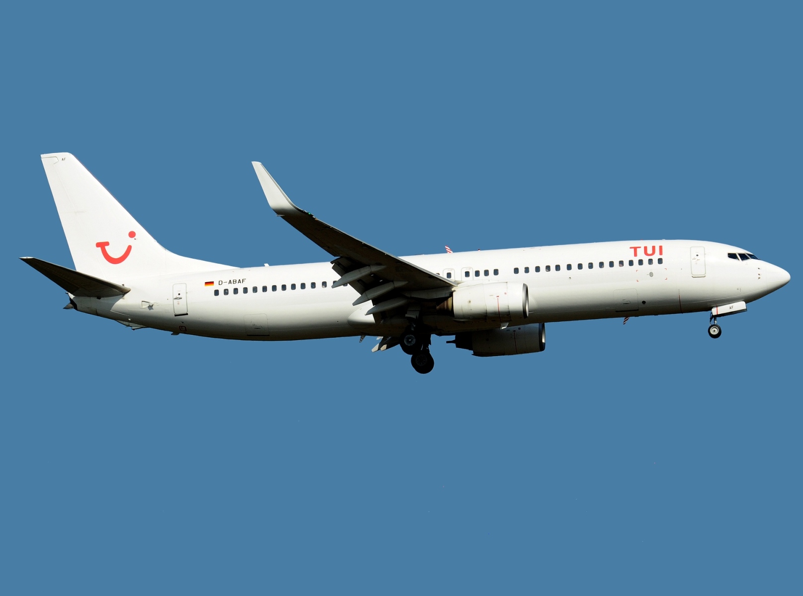 D-ABAF - 737-86J(WL) - TUIfly - FRA - 06-09-2021