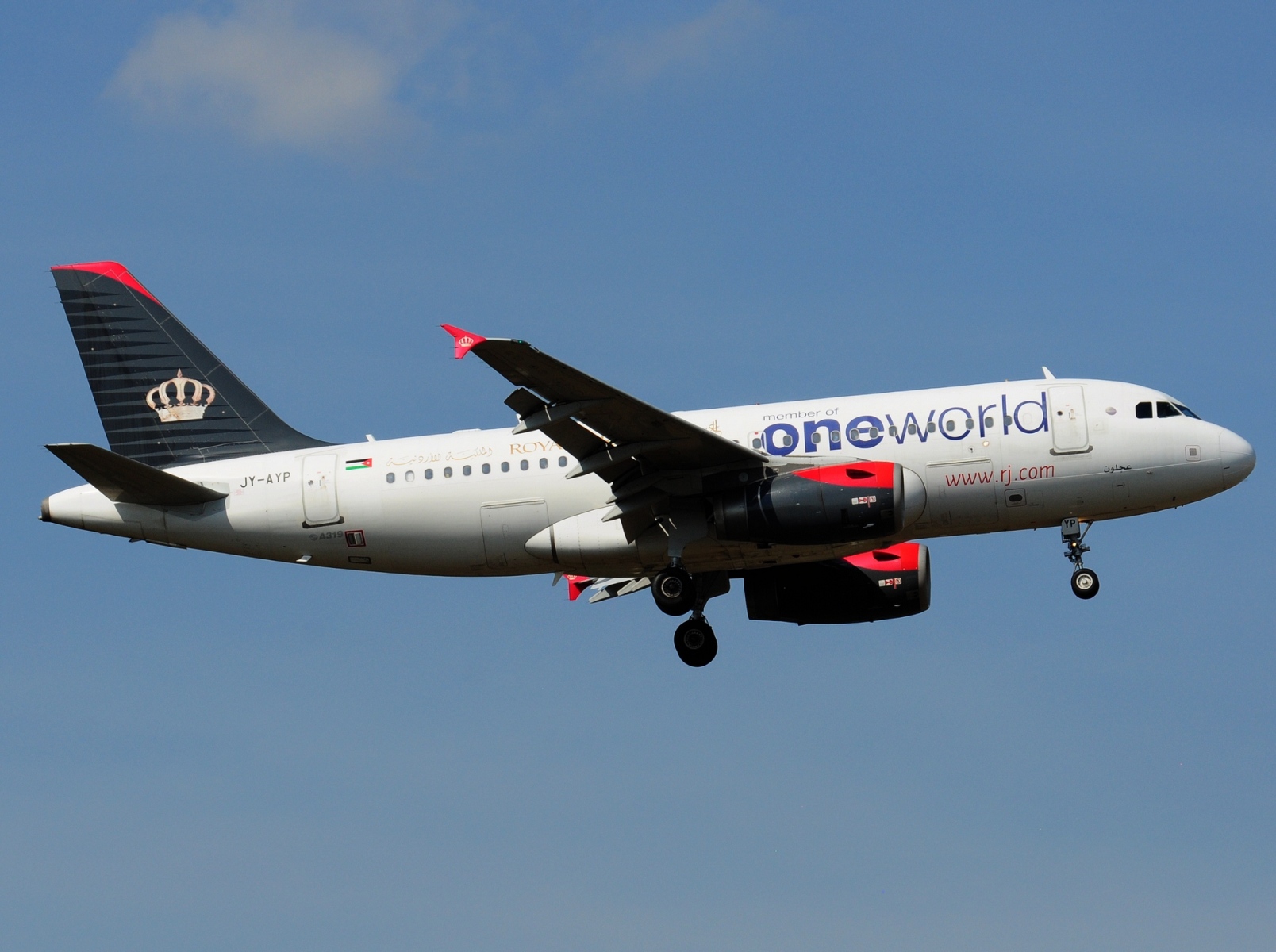 JY-AYP - A319-132 - Royal Jordanian - FRA - 06-09-2021