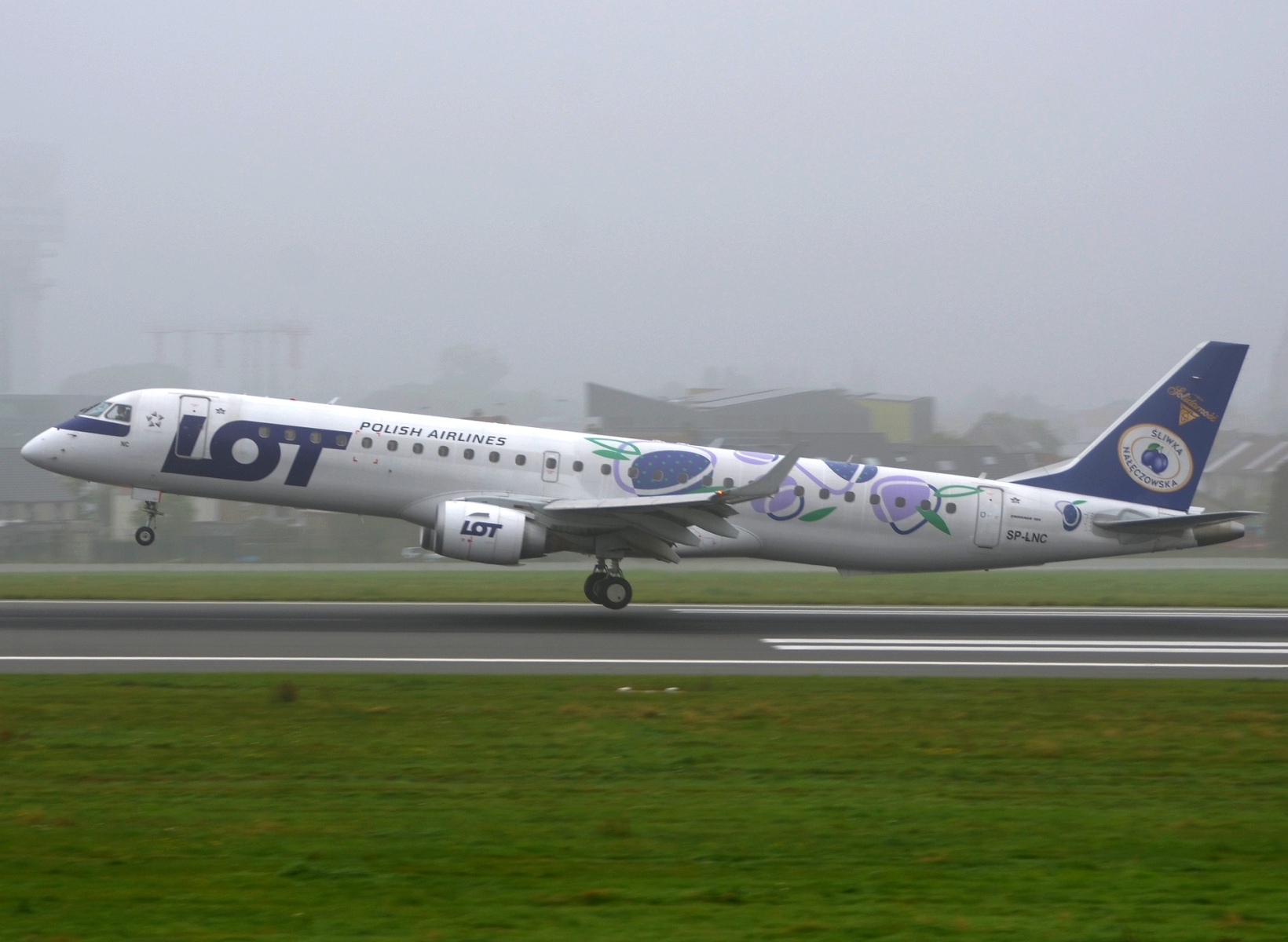 SP-LNC - ERJ-195LR (ERJ-190-200 LR) - LOT _ Polish Airlines - BRU - 04-09-2021