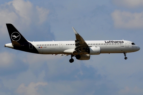 D-AIEF - A321-271NX(WL) - Lufthansa - FRA - 06-09-2021