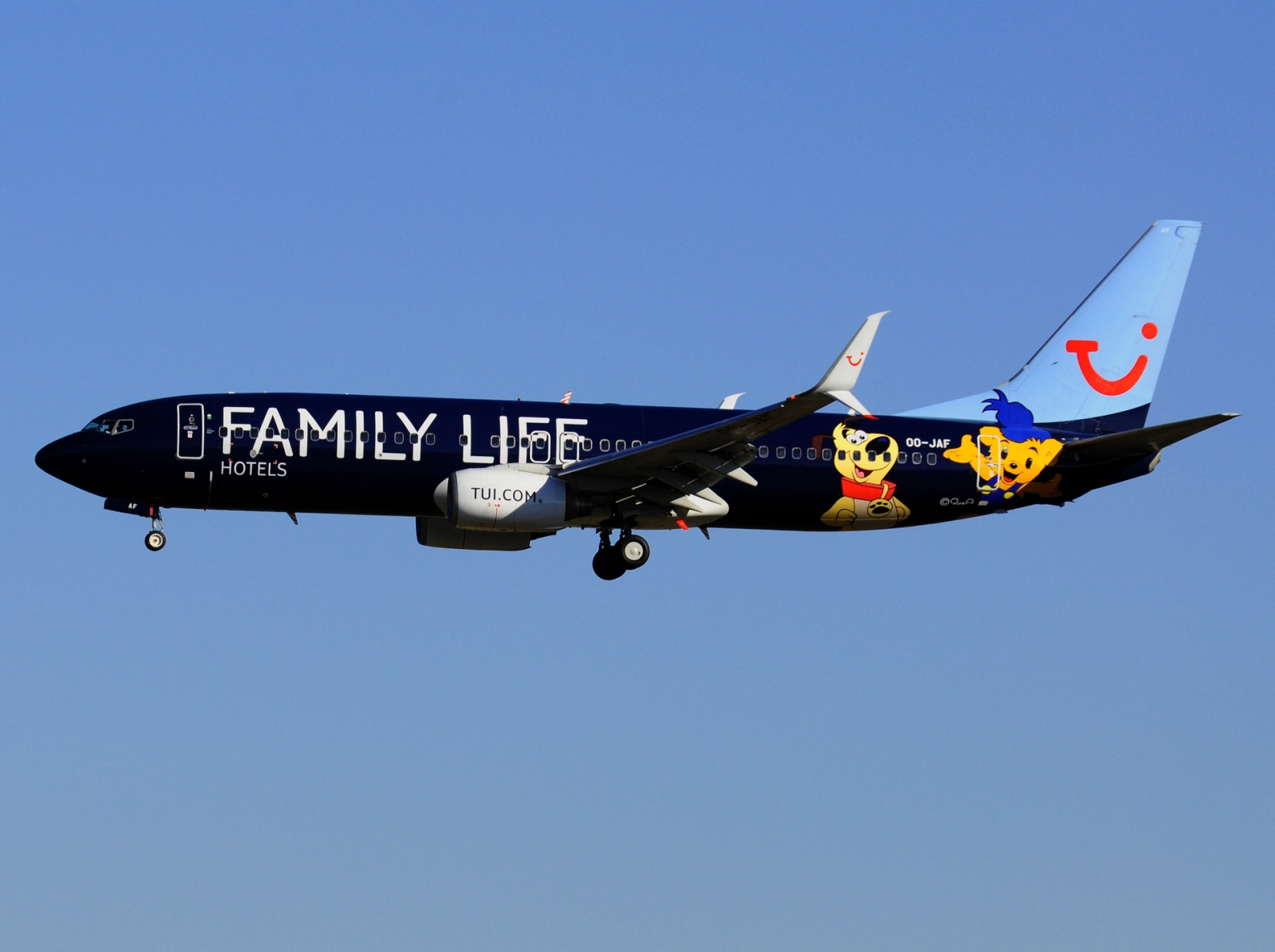 OO-JAF - 737-8K5(WL) - TUI Airlines Belgium - BRU - 19-03-2022
