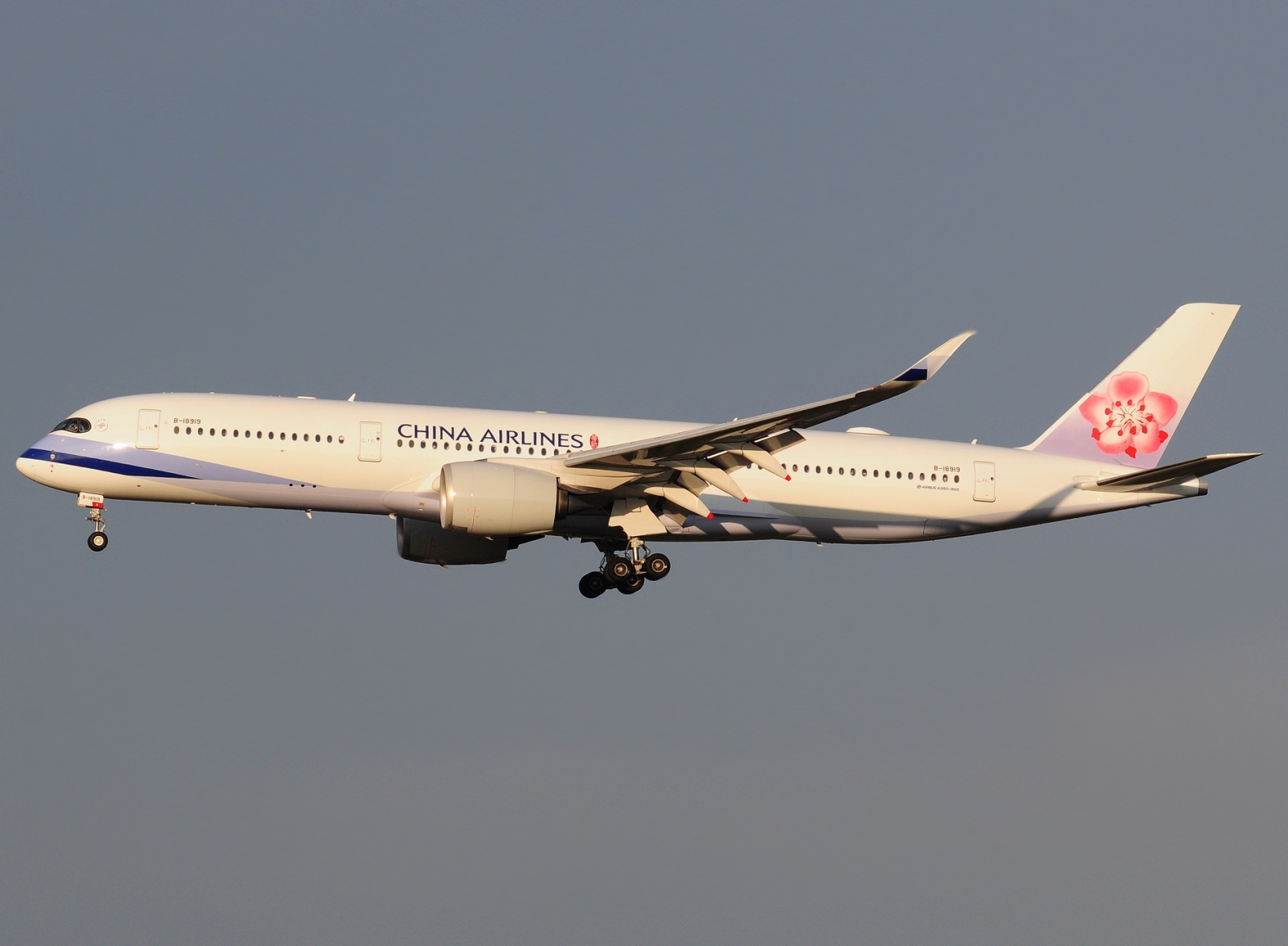 B-18919 - A350-941 - China Airlines - FCO - 04-09-2024