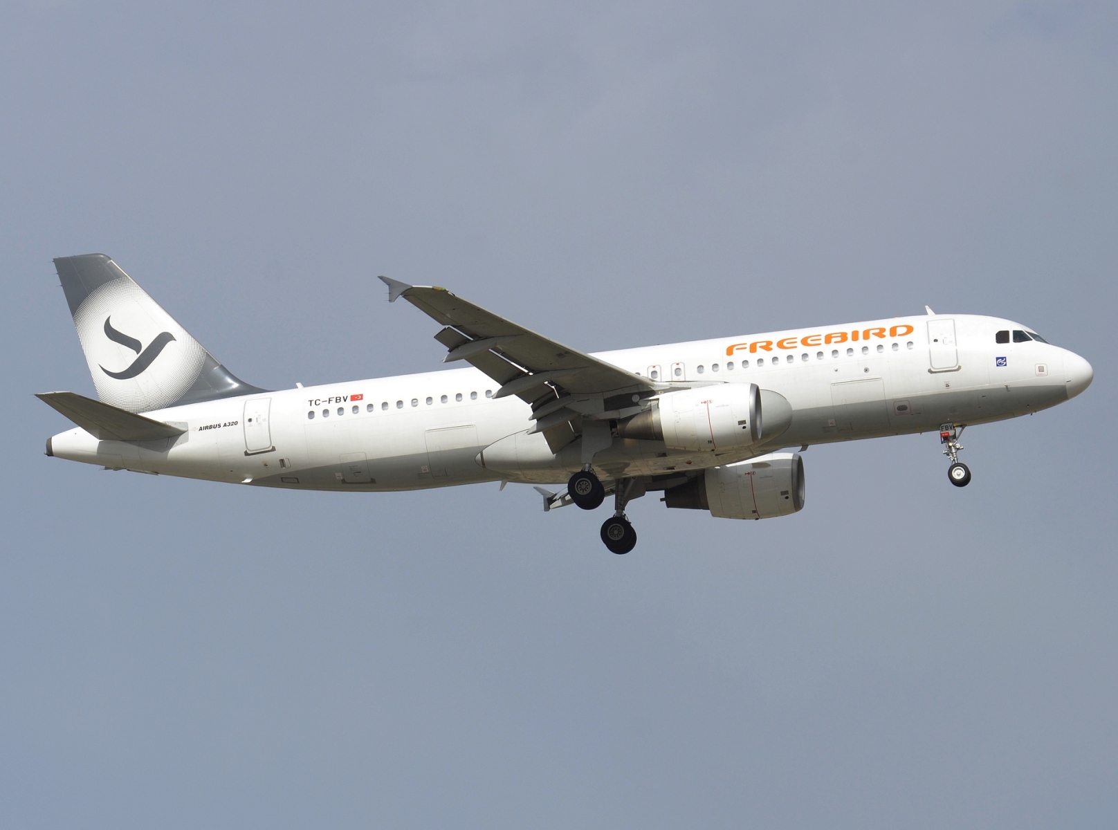 TC-FBV - A320-214 - Freebird Airlines - AYT - 14-06-2024