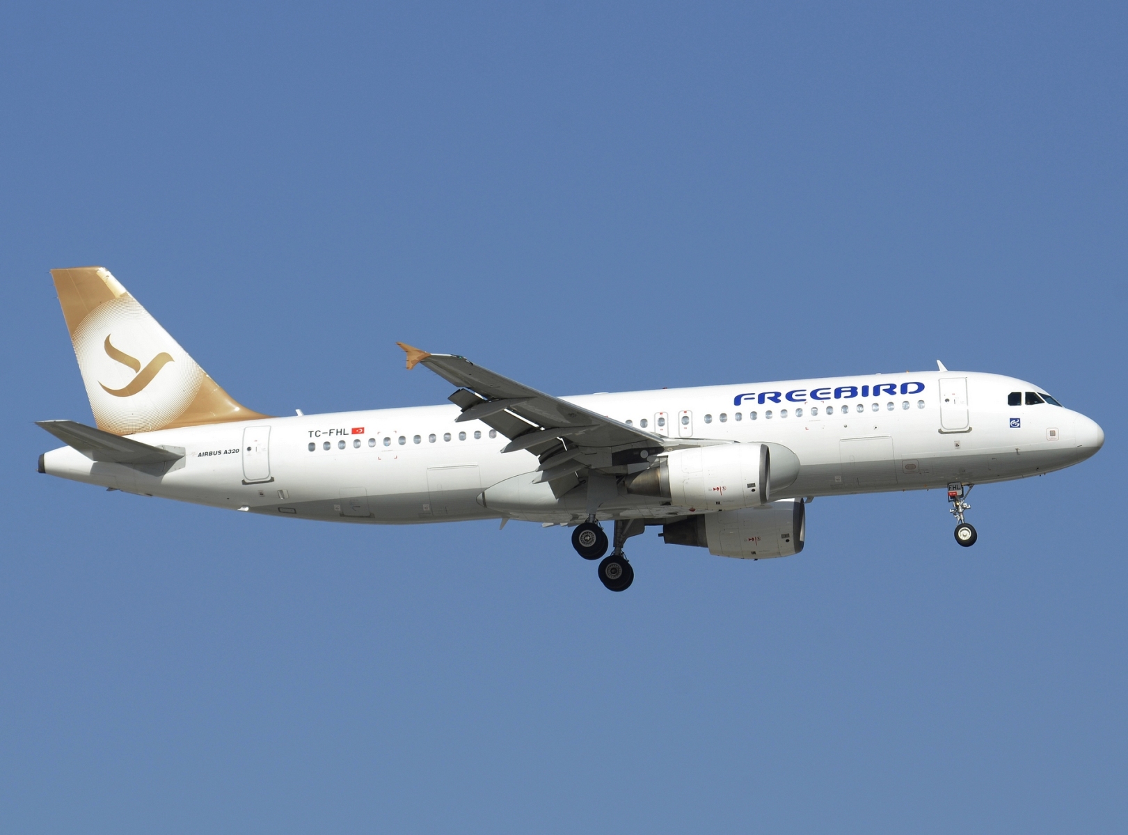 TC-FHL - A320-214 - Freebird Airlines - AYT - 15-06-2024