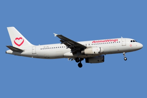 YR-JUL - A320-232 - Animawings - AYT - 16-06-2024