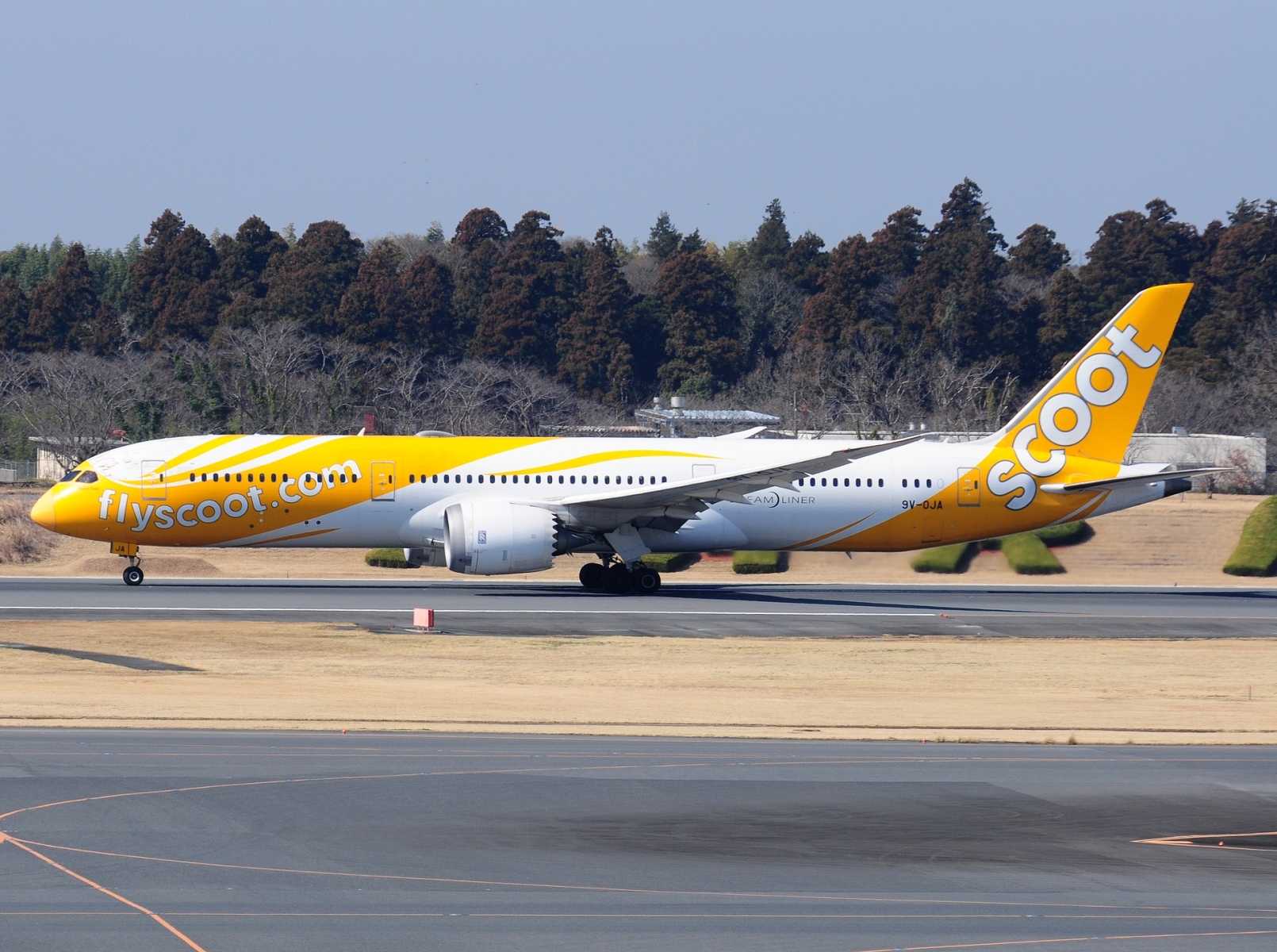 9V-OJA - 787-9 Dreamliner - Scoot - NRT - 21-03-2025b