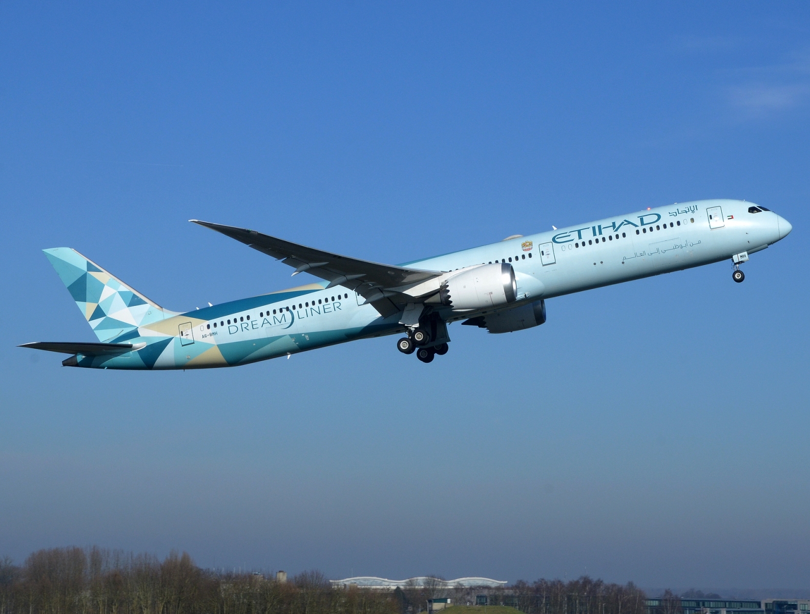 A6-BMH - B787-10 - Etihad Airways - BRU - 18-02-2025